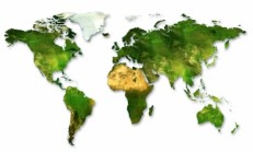 world world