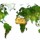 world