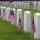 Memorial Day
